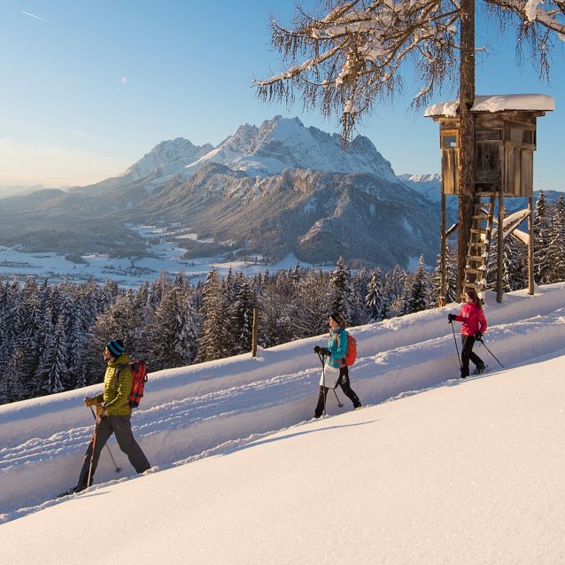 La randonnée d’hiver