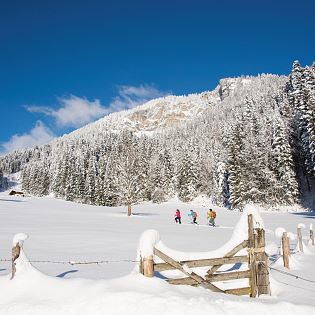 Unzählige Wanderwege um das Hotel Alpenhof